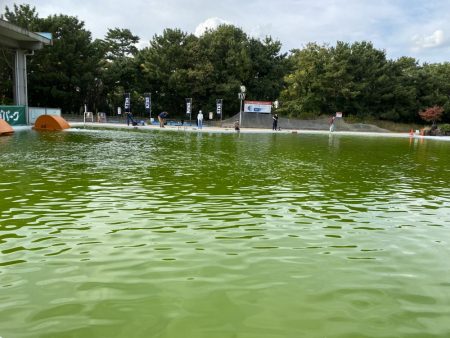 服部緑地そこそこ釣れます。