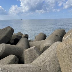 テトラ落とし込み