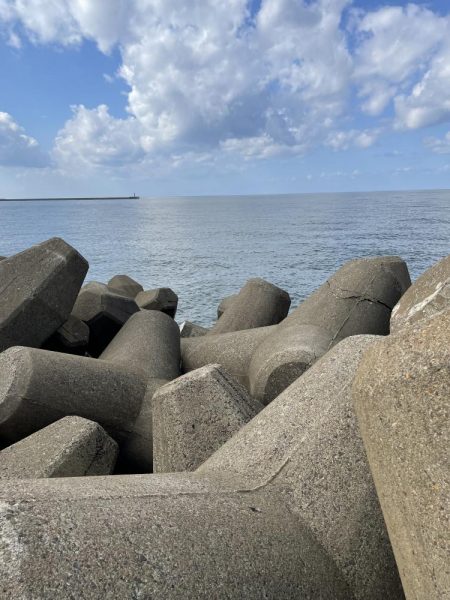 テトラ落とし込み