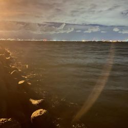 メバル絶好調❗️