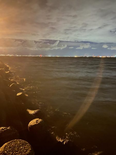 メバル絶好調❗️