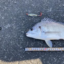 やっぱりここが最強堤防かなぁ〜