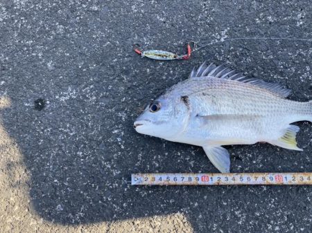 やっぱりここが最強堤防かなぁ〜