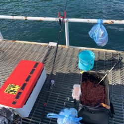 秋ですね。朝は肌寒い