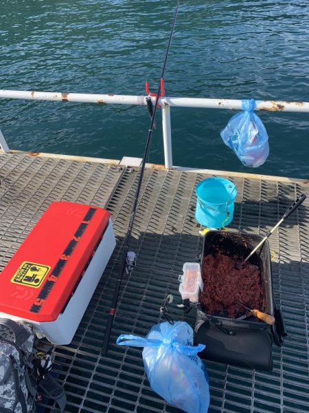 秋ですね。朝は肌寒い