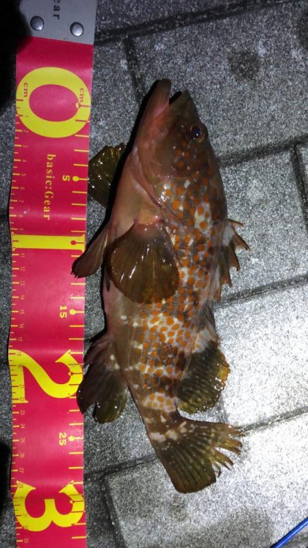 波穏やかな南港