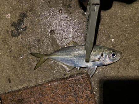 ジグ単アジング