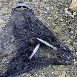 湾奥まで来たよ