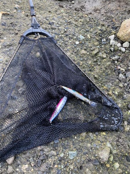 湾奥まで来たよ