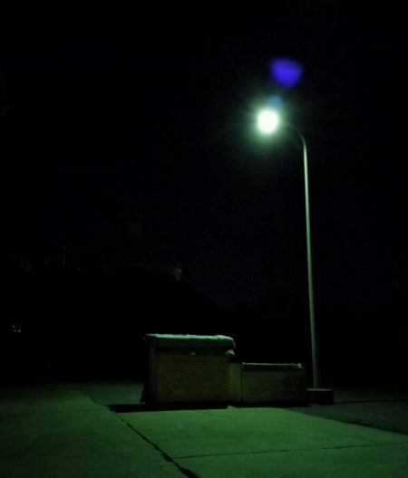 ヒイカエギング