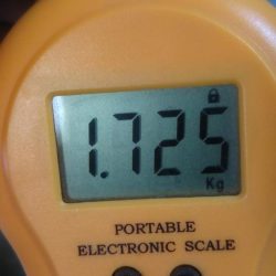 やっと来ました‼モンスター