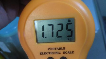 やっと来ました‼モンスター