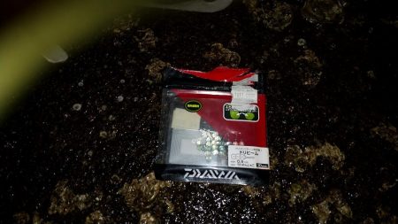 アジを求めて舞洲まで