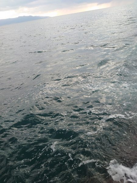 今回はアオリをメインで