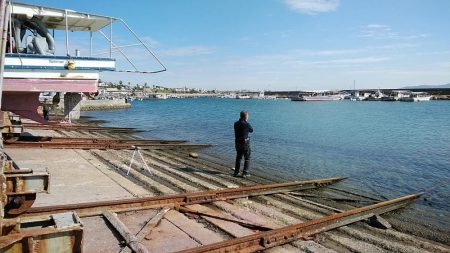 江井ヶ島の落ちギス調査Ⅱ