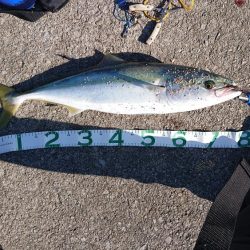 またまた自己新！