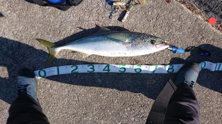 またまた自己新！