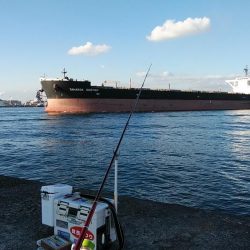 久々に爆釣しました