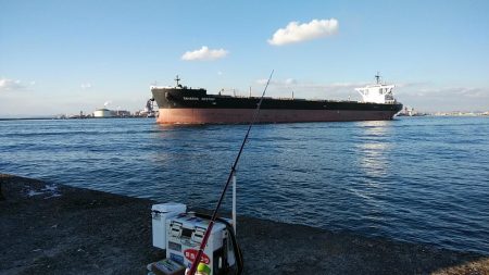 久々に爆釣しました