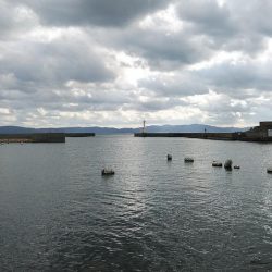 活性下がった江井ヶ島のキス