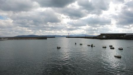 活性下がった江井ヶ島のキス