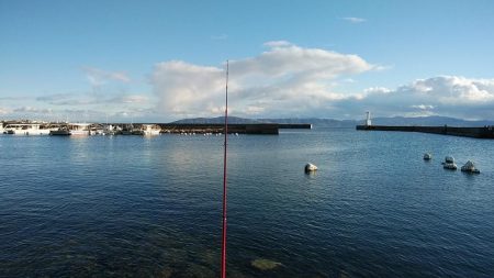 江井ヶ島のキス調査