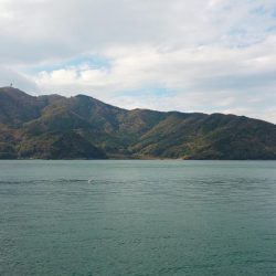 何とか2本釣れました!