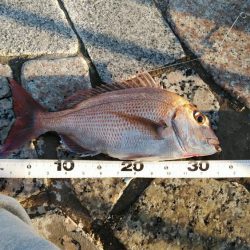 本命は音沙汰なく嬉しいゲスト