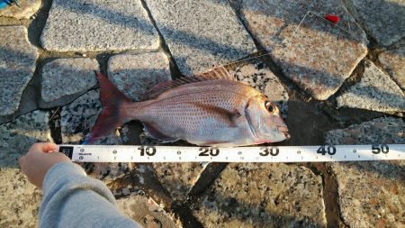 本命は音沙汰なく嬉しいゲスト