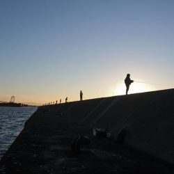 タチウオ、イシモチ、エソ