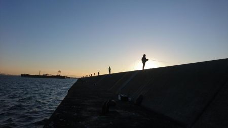 タチウオ、イシモチ、エソ