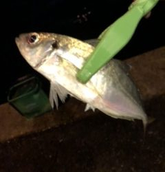 五種目達成ならず