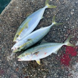 まさかの高活性