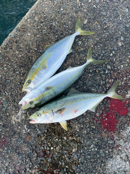 まさかの高活性