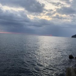 最後はホームでRUN