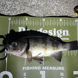 防寒対策しっかりしよう