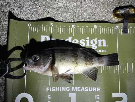 防寒対策しっかりしよう