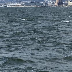 トップで来た〜