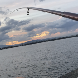名古屋港でアナゴ釣り