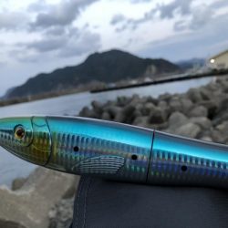 お魚ロッドでガッシー