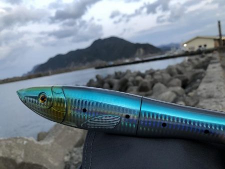 お魚ロッドでガッシー