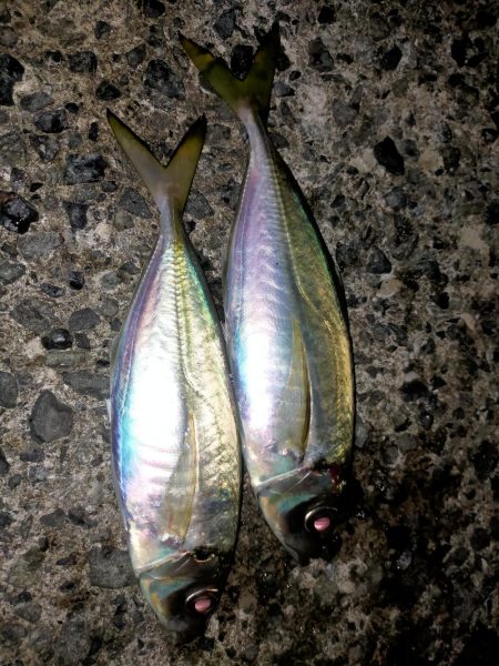 爆風では厳しい