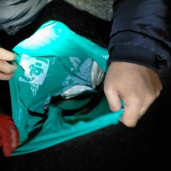 小潮のアジング