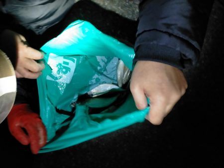 小潮のアジング