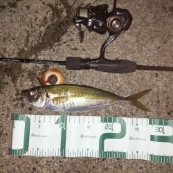 サイズが出ない