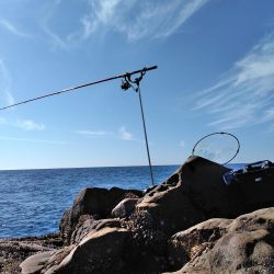 フカセ‥最高ですネ・・