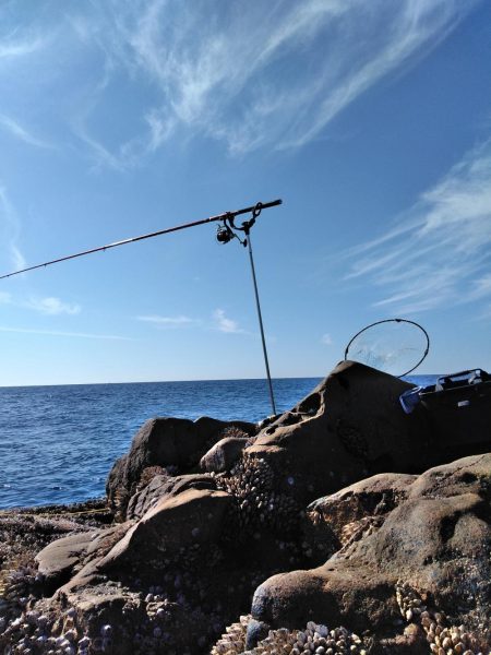 フカセ‥最高ですネ・・