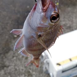 モーニングサービス