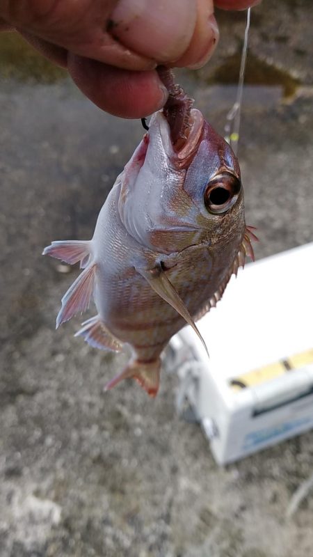 モーニングサービス