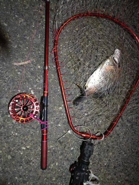 2021/11/26 南港ヘチ釣り